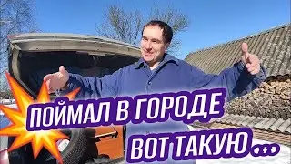ДЕРЕВЕНСКИЕ В ГОРОДЕ