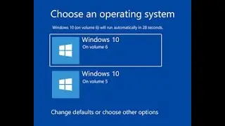 How to remove one OS from Dualboot 2020