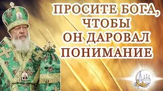 Просите Бога, чтобы Он даровал понимание. Притча о сеятеле Мф. 13: 1–9