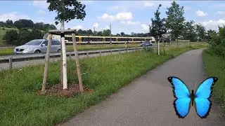 Прогулка на велосипеде вдоль реки