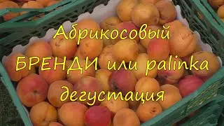 Абрикосовый бренди или pàlinka. Дегустация.