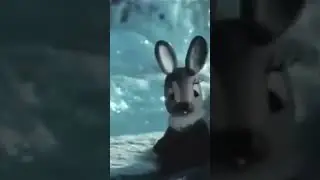 ,,ЧУДЕСНЫЙ КОЛОДЕЦ,, СМОТРЕТЬ НА КАНАЛЕ   www.youtube.com/@lilijabogdanova4709