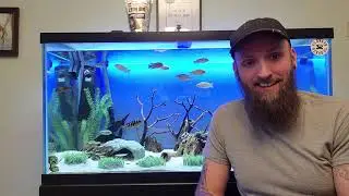 How To Pick An Aquarium Stand Plus Where To Place It Part 3 #settingupaquarium