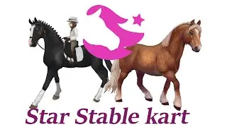 What If Star Stable Was Mario kart? [ Wii Version ]