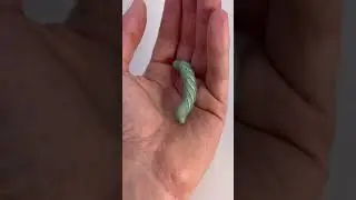 Физиология насекомых 