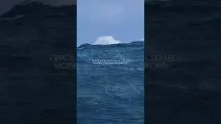 #бизнесонлайн