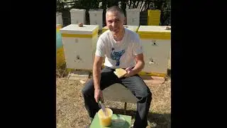 Смак дитинства
