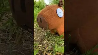 Прогулка с капибарой 🦫 Схемы на нашем сайте 