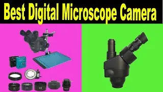 Top 5 Best Digital Microscope Camera Review 2021