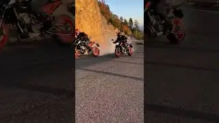 2023 KTM DUKE 890 GP and KTM 890 R burnout #shorts #ktm #duke #burnout