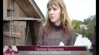 Голуби Крыма отправились на Евро-2012
