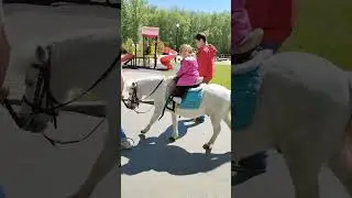 Моя лошадка 