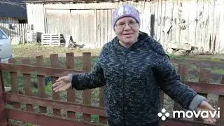 У МЕНЯ ПОЯВИЛИСЬ ПОМОЩНИКИ ПО ХОЗЯЙСТВУ!КОПАЮТ ОГОРОД!ЗАКАЗЫ С ОЗОН-ГОТОВИМСЯ В РОДДОМ!ЖИЗНЬ КИПИТ!