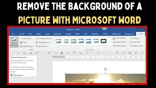 How to Remove the Background of a Picture With Microsoft Word on Windows 11