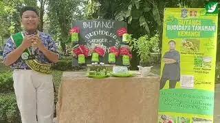 BUDIDAYA TANAMA KEMANGI - AKHYAR SDN KETABANG I