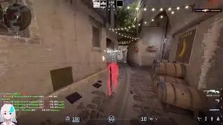 PLAGUECHEAT.GG