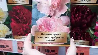 ОБИ ПИОНЫ Серии Люкс дорогие сорта Ито-Гибриды