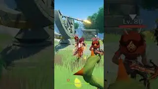C0 Heizou Solo Damage 
