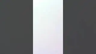 #amirchik