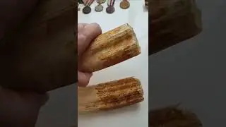 Клыки моржа с мясом!!!