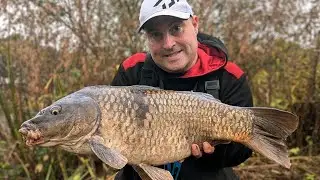 A Mad Year Of Match Fishing!