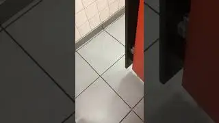 The loudest toilet door ever