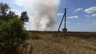 Горит лес под Алекснадрией! Пчеловоды у кого пасеки на поле возле леса забирайте