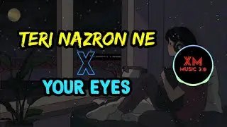 Your eyes X Teri nazron ne | Hindi lofi song | Slowed + reverb |
