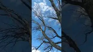 река Алей 2021. Алтайский край. Площадка под пасеку