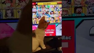 I Let My Kitten Choose Who I Play
