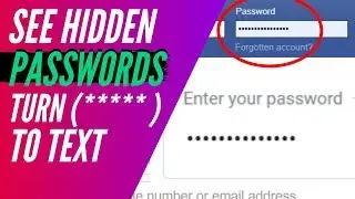 Show Passwords Hidden Behind Asterisks or Dots (Turn to Text)