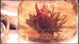 Green tea magic flower