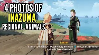 Prepare  4 photos of Inazuma regional animals