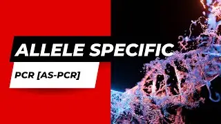 Allele Specific PCR (AS-PCR) / Amplification Refractory Mutation System (ARMS) - Genotyping PCR