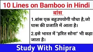 10 Lines on Bamboo in Hindi | Short Essay on Bamboo in Hindi | 10 पंक्तियां बांस पर | बांस |🎍🎍