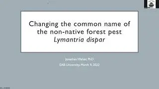 Name Change for Lymantria dispar (Gypsy Moth) to Spongy Moth