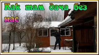 ВЛОГ: Мотаемся по делам / Проведали дачу