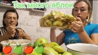Влог# 354 Сидим без ВОДЫ💦 ПОМОЩЬ администрации🙌 Так МНОГО яблок 🍏🍎🍏🍎 Куда их девать? 🤪