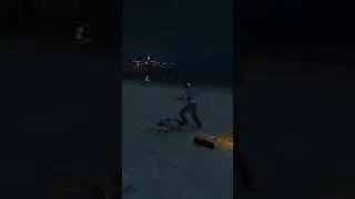 I Feel Sad For That Guy | GTA 5