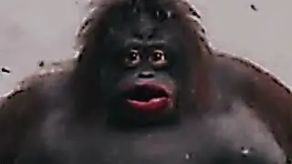 monke vs capybara