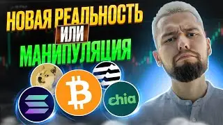 СКАМ КРИПТЫ ИЛИ ОЧЕРЕДНАЯ МАНИПУЛЯЦИЯ? ЧТО ДЕЛАТЬ С МЕРТВЫМИ АЛЬКОИНАМИ? ОБЗОР BTC, APT, XCH, SOL!