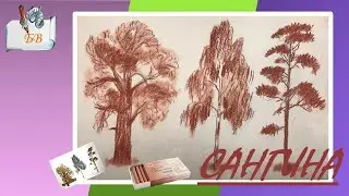 Как рисовать сангиной | Деревья |Длядетей7+ 