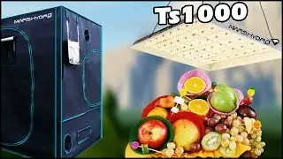 СОБИРАЕМ ПАЛАТКУ ДЛЯ ВЫРАЩИВАНИЯ ФРУКТОВ ДОМА?! Обзор Mars Hydro TS1000 и Гроутента 100х100