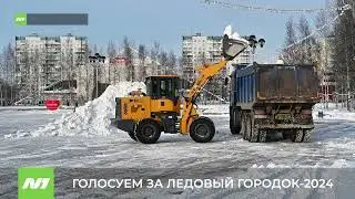 ГОЛОСУЕМ ЗА ЛЕДОВЫЙ ГОРОДОК-2024