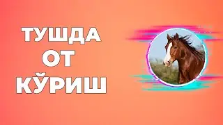 Тушда От куриш