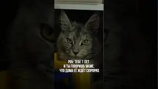 Вот это сюрприз! 