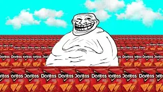 The 