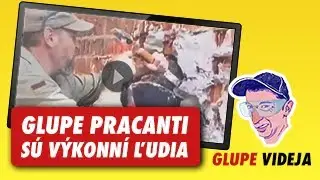 Glupe pracanti - Glupa Tv na mol