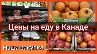 Цены на еду в Канаде. Наша закупка продуктов в Канаде. Freestone. Иммиграция в Канаду.
