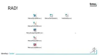 TMS Miletus: Database access without Web service backend